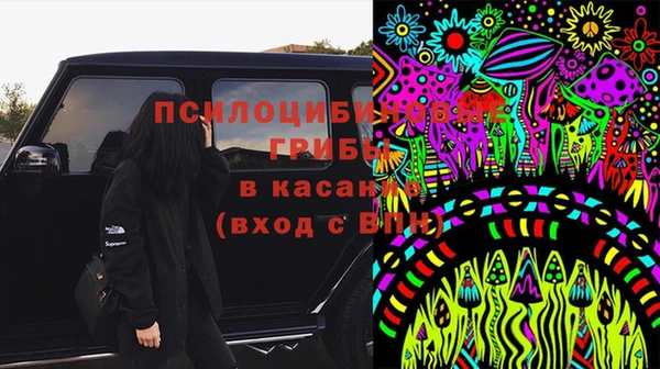 винт Абаза