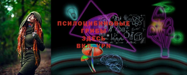крисы Алзамай