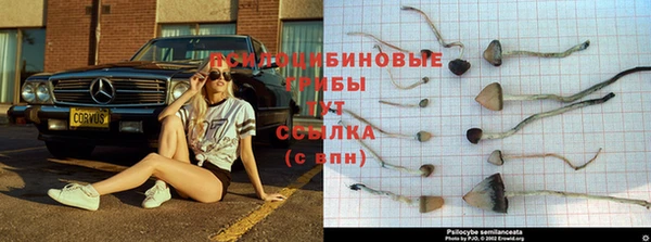 винт Абаза
