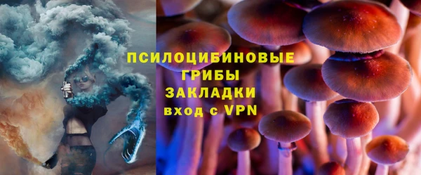 крисы Алзамай