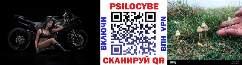 Галлюциногенные грибы MAGIC MUSHROOMS  blacksprut ССЫЛКА  Кизляр  где купить наркоту 